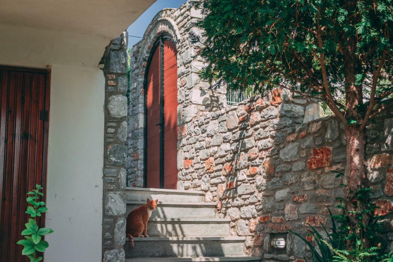 Casa Di Bella Villa Volos Exterior photo
